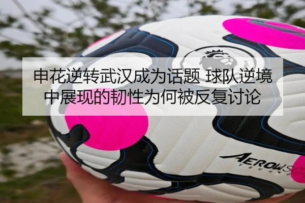 申花逆转武汉成为话题 球队逆境中展现的韧性为何被反复讨论